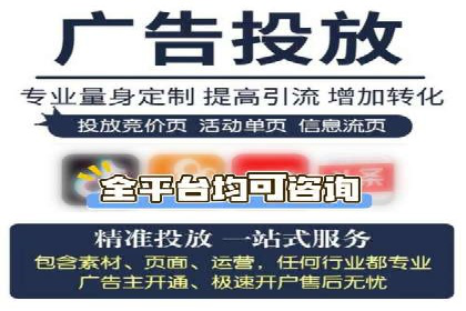 成功案例解读：SEM推广代运营策略